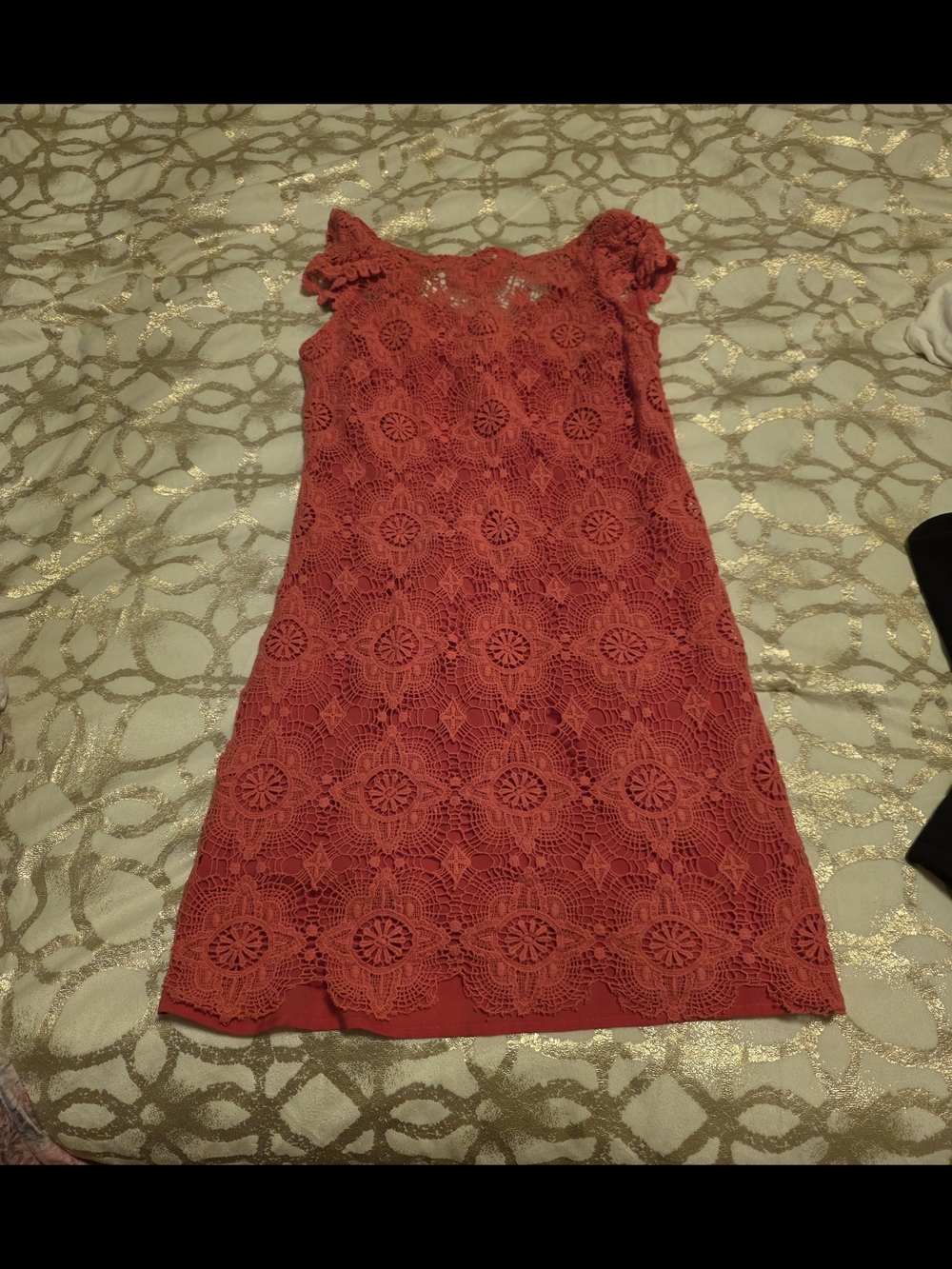 Red Crochet Lace Cap-Sleeve Shift Dress